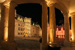 chateauroyalBlois6.jpg